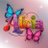 Alizee3851