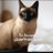 Ari_Arciniega6