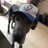 CharlyEstevezMx