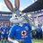 ConejoSalvaje_
