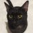 Cynthia_Ventrue