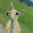 DEERSIGMA