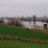 ElViudoNaranja