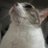 ElleDalloway