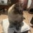 ElleDalloway