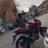 Gray_fox1990