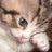 Guby_Labios
