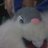 Hugui_Regio