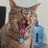 IfCatsCouldFly5