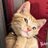 Janis_1231