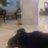 Martin_deLeon