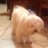 R_OLVERA_M
