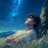 Rom_Portillo1