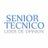 SeniorTecnico