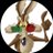 Spidart_Jrslm