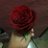 Zira_x