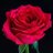 _Ely_Zabeth