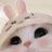 __imcatbug