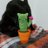 almiux_mh