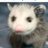 anchel_michel