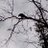 azpeitia_joel