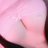babyisap
