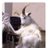 banksy01pro