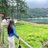 castillon_saira