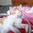 diaz_lilly71139