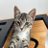 guramanatati