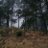 hernandez_107p