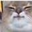 jess_1322