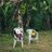 marcelo_molap