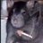 mv_omarr