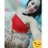 priscila1moura