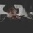 radaX99