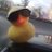 rierfm