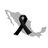 sanv_m