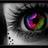 shine1805