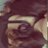star_blas