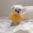 stephych_