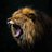 theeducatedlion