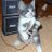 tuco_wallach